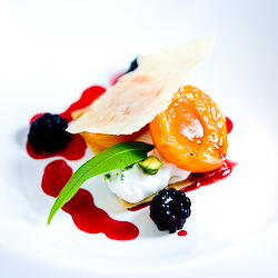 Lemon Verbena Poached Apricots with Fresh Ricotta Ice Cream & Blackberry syrup