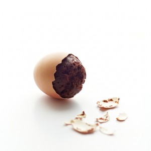 Brownies in Egg Shells