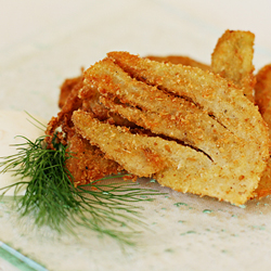 Parmesan-crusted fennel fritters with Meyer lemon dip