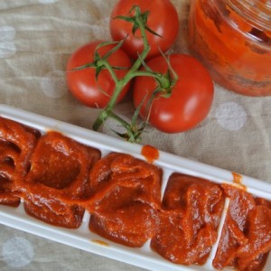 Thermomix Tomato Paste